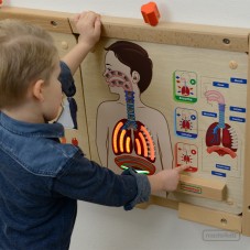 Sistema Respiratorio...