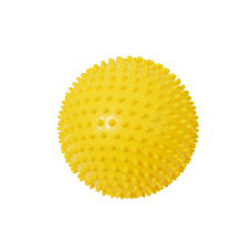 Pelota Puerco Espín 20 cm