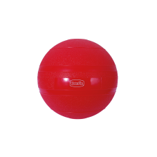 Pelota Medicinal 2 kilos