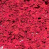 Material Didactico-Creative