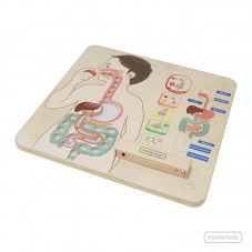 Material Didactico-Masterkidz