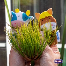 Material Didactico-Dactic