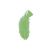 Material Didactico-Creative