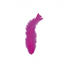 Material Didactico-Creative