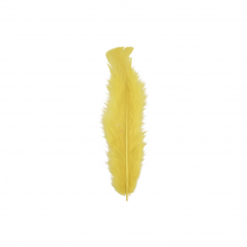 Material Didactico-Creative
