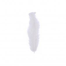 Material Didactico-Creative