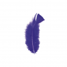 Material Didactico-Creative