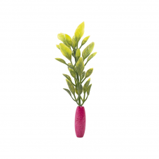 Material Didactico-Creative