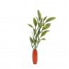 Material Didactico-Creative