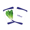 Material Didactico-Dactic