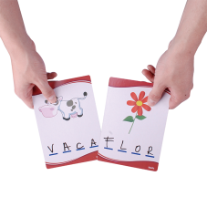Material Didactico-Dactic