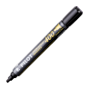 Material Didactico-Pilot