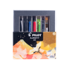 Material Didactico-Pilot