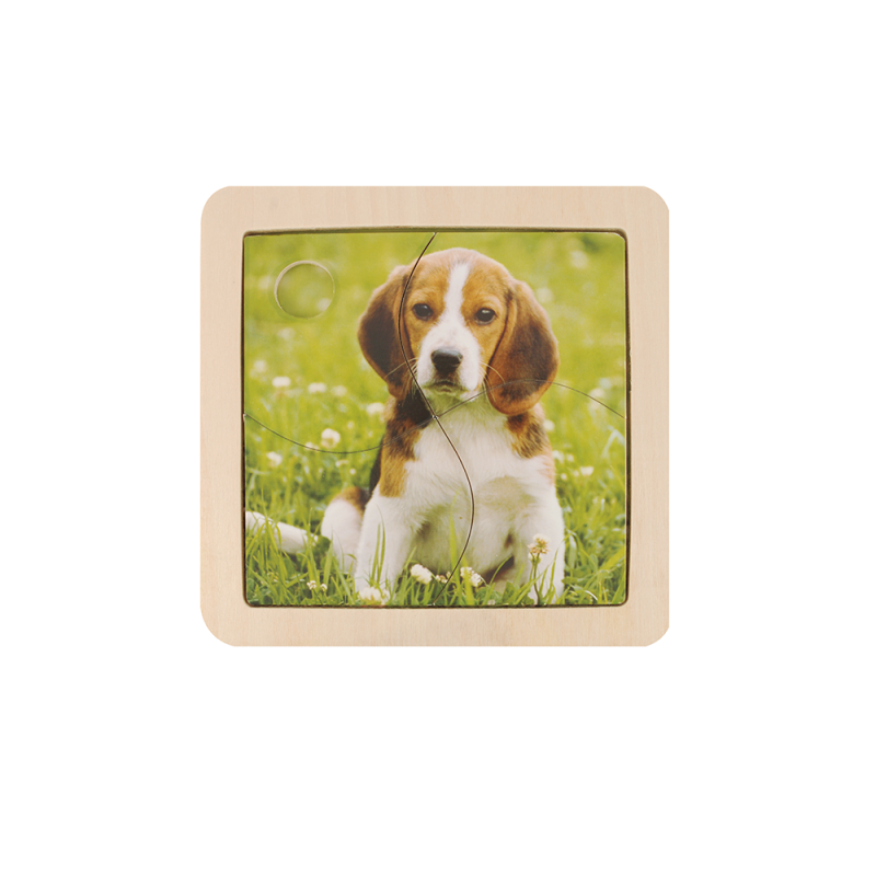 Material Didactico-Dactic