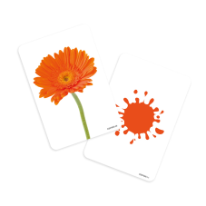 Material Didactico-Dactic