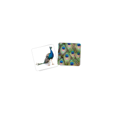 Material Didactico-Dactic