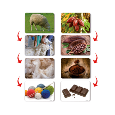 Material Didactico-Dactic