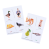 Material Didactico-Dactic