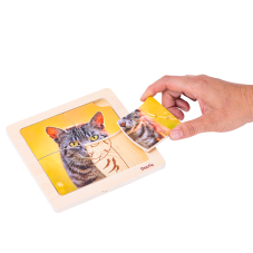 Material Didactico-Dactic
