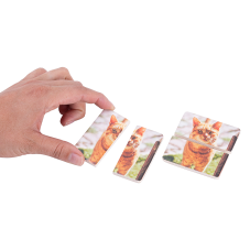 Material Didactico-Dactic