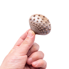 Material Didactico-Dactic