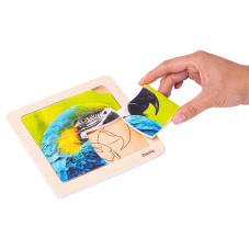 Material Didactico-Dactic