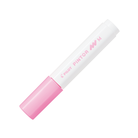 Material Didactico-Pilot
