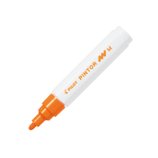 Material Didactico-Pilot