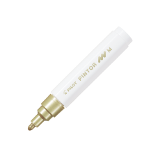 Material Didactico-Pilot