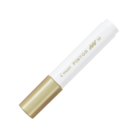 Material Didactico-Pilot