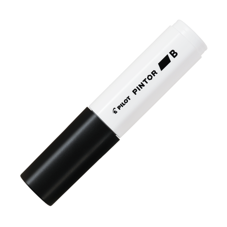 Material Didactico-Pilot