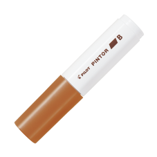 Material Didactico-Pilot
