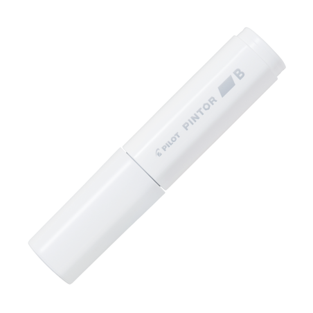 Material Didactico-Pilot