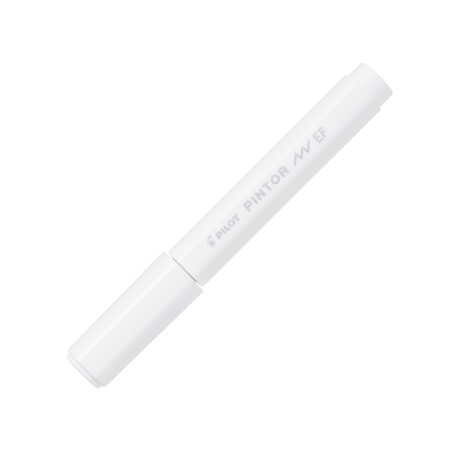 Material Didactico-Pilot