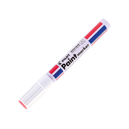 Material Didactico-Pilot