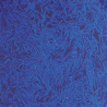 Material Didactico-Creative