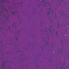 Material Didactico-Creative