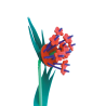 Material Didactico-Creative