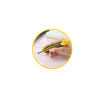 Material Didactico-Olfa