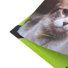 Material Didactico-Creative