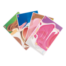 Material Didactico-