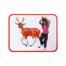 Material Didactico-Roylco