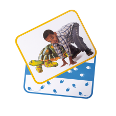 Material Didactico-Roylco
