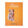 Material Didactico-Creative