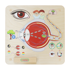 Material Didactico-Masterkidz