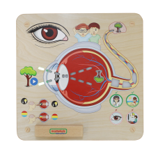 Material Didactico-Masterkidz