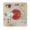 Material Didactico-Masterkidz