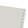 Material Didactico-Datazone