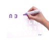 Material Didactico-Pilot
