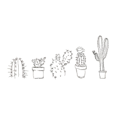 Material Didactico-Creative